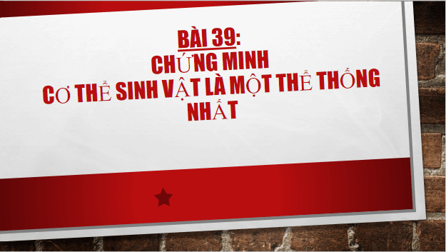 Giáo án điện tử KHTN 7 Chân trời sáng tạo Bài 39: Chứng minh cơ thể sinh vật là một thể thống nhất | PPT Khoa học tự nhiên 7