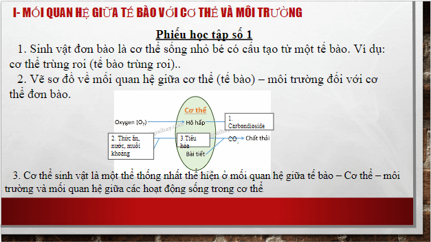 Giáo án điện tử KHTN 7 Chân trời sáng tạo Bài 39: Chứng minh cơ thể sinh vật là một thể thống nhất | PPT Khoa học tự nhiên 7