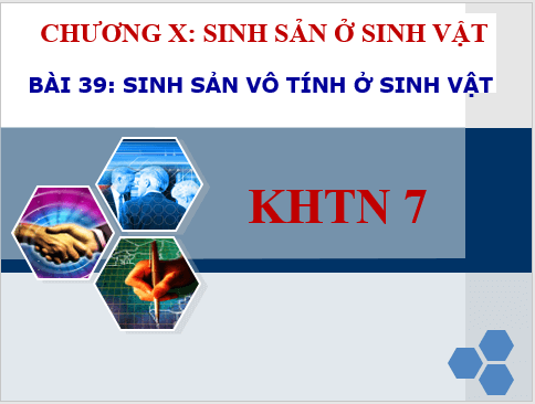 Giáo án điện tử KHTN 7 Kết nối tri thức Bài 39: Sinh sản vô tính ở sinh vật | PPT Khoa học tự nhiên 7