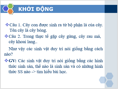 Giáo án điện tử KHTN 7 Kết nối tri thức Bài 39: Sinh sản vô tính ở sinh vật | PPT Khoa học tự nhiên 7