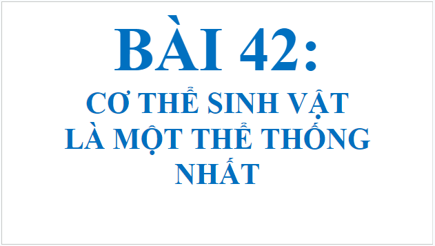 Giáo án điện tử KHTN 7 Kết nối tri thức Bài 42: Cơ thể sinh vật là một thể thống nhất | PPT Khoa học tự nhiên 7