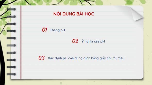 Giáo án điện tử KHTN 8 Cánh diều Bài 10: Thang pH | PPT Khoa học tự nhiên 8
