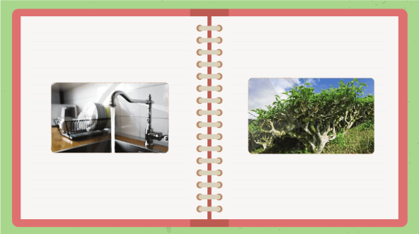 Giáo án điện tử KHTN 8 Cánh diều Bài 10: Thang pH | PPT Khoa học tự nhiên 8