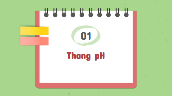 Giáo án điện tử KHTN 8 Cánh diều Bài 10: Thang pH | PPT Khoa học tự nhiên 8