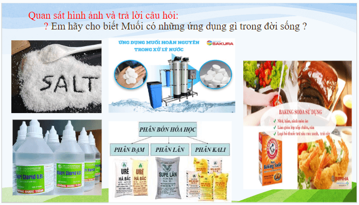 Giáo án điện tử KHTN 8 Kết nối tri thức Bài 11: Muối | PPT Khoa học tự nhiên 8