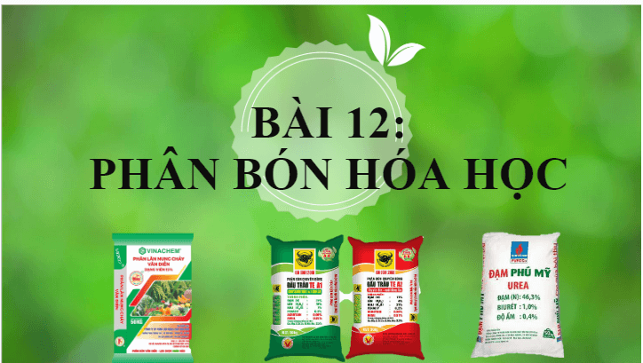 Giáo án điện tử KHTN 8 Kết nối tri thức Bài 12: Phân bón hóa học | PPT Khoa học tự nhiên 8