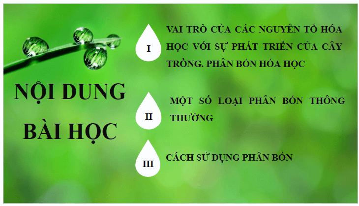Giáo án điện tử KHTN 8 Kết nối tri thức Bài 12: Phân bón hóa học | PPT Khoa học tự nhiên 8