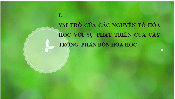 Giáo án điện tử KHTN 8 Kết nối tri thức Bài 12: Phân bón hóa học | PPT Khoa học tự nhiên 8
