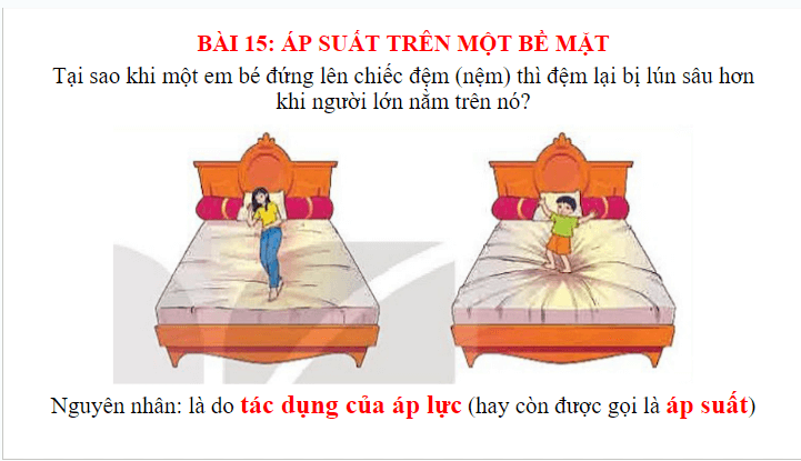 Giáo án điện tử KHTN 8 Kết nối tri thức Bài 15: Áp suất trên một bề mặt | PPT Khoa học tự nhiên 8