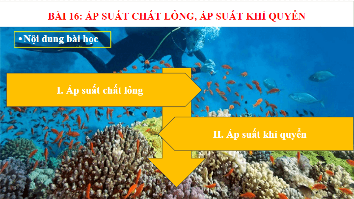 Giáo án điện tử KHTN 8 Kết nối tri thức Bài 16: Áp suất chất lỏng. Áp suất khí quyển | PPT Khoa học tự nhiên 8