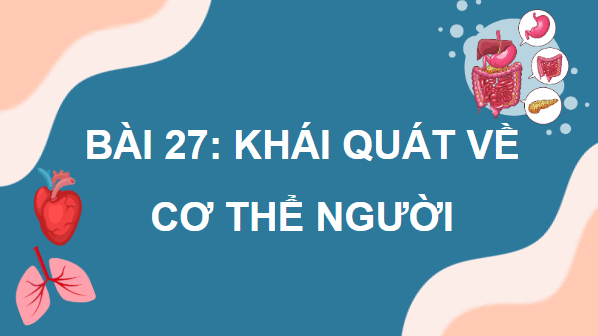 Giáo án điện tử KHTN 8 Cánh diều Bài 27: Khái quát về cơ thể người | PPT Khoa học tự nhiên 8