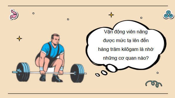 Giáo án điện tử KHTN 8 Cánh diều Bài 28: Hệ vận động ở người | PPT Khoa học tự nhiên 8