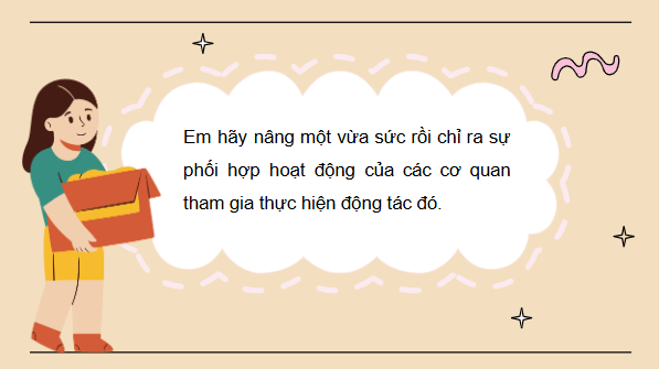 Giáo án điện tử KHTN 8 Cánh diều Bài 28: Hệ vận động ở người | PPT Khoa học tự nhiên 8
