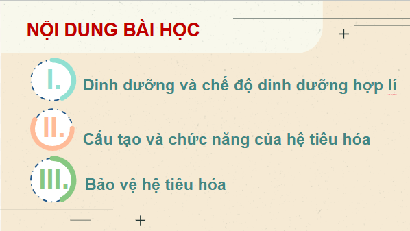 Giáo án điện tử KHTN 8 Cánh diều Bài 29: Dinh dưỡng và tiêu hóa ở người | PPT Khoa học tự nhiên 8