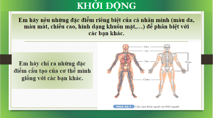 Giáo án điện tử KHTN 8 Kết nối tri thức Bài 30: Khái quát về cơ thể người | PPT Khoa học tự nhiên 8