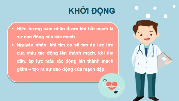 Giáo án điện tử KHTN 8 Cánh diều Bài 30: Máu và hệ tuần hoàn ở người | PPT Khoa học tự nhiên 8