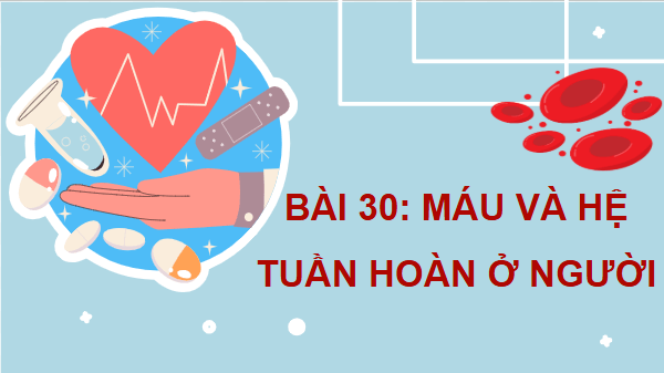 Giáo án điện tử KHTN 8 Cánh diều Bài 30: Máu và hệ tuần hoàn ở người | PPT Khoa học tự nhiên 8
