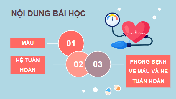 Giáo án điện tử KHTN 8 Cánh diều Bài 30: Máu và hệ tuần hoàn ở người | PPT Khoa học tự nhiên 8