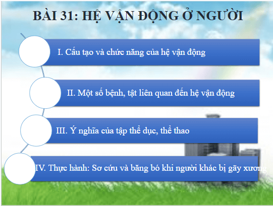 Giáo án điện tử KHTN 8 Kết nối tri thức Bài 31: Hệ vận động ở người | PPT Khoa học tự nhiên 8