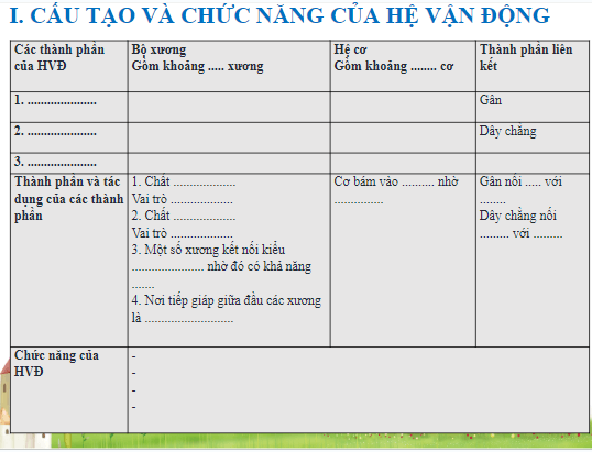 Giáo án điện tử KHTN 8 Kết nối tri thức Bài 31: Hệ vận động ở người | PPT Khoa học tự nhiên 8
