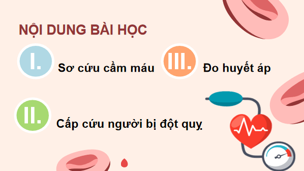 Giáo án điện tử KHTN 8 Cánh diều Bài 31: Thực hành về máu về hệ tuần hoàn | PPT Khoa học tự nhiên 8