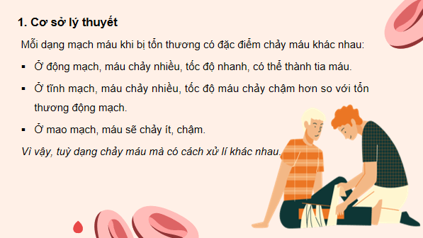 Giáo án điện tử KHTN 8 Cánh diều Bài 31: Thực hành về máu về hệ tuần hoàn | PPT Khoa học tự nhiên 8