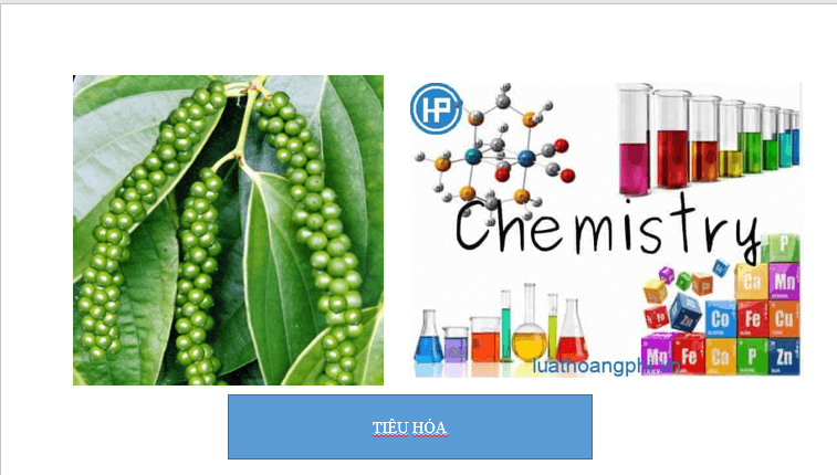 Giáo án điện tử KHTN 8 Kết nối tri thức Bài 32: Dinh dưỡng và tiêu hóa ở người | PPT Khoa học tự nhiên 8