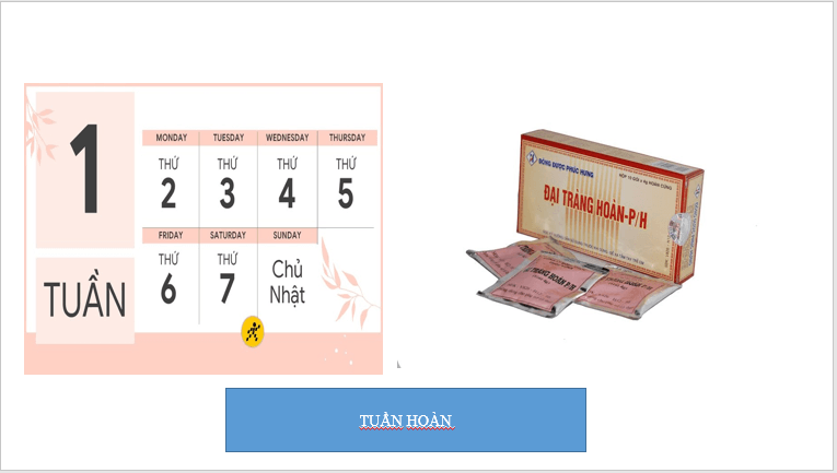 Giáo án điện tử KHTN 8 Kết nối tri thức Bài 32: Dinh dưỡng và tiêu hóa ở người | PPT Khoa học tự nhiên 8