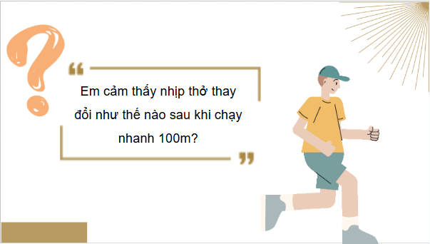 Giáo án điện tử KHTN 8 Cánh diều Bài 32: Hệ hô hấp ở người | PPT Khoa học tự nhiên 8