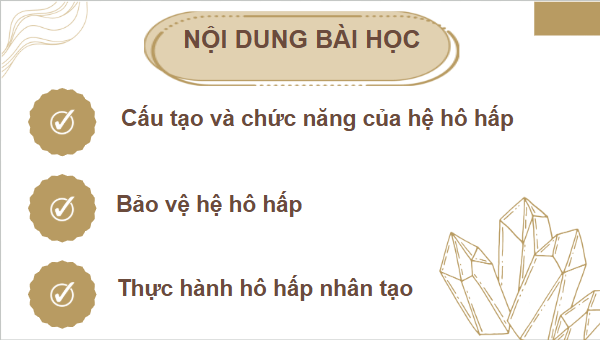 Giáo án điện tử KHTN 8 Cánh diều Bài 32: Hệ hô hấp ở người | PPT Khoa học tự nhiên 8