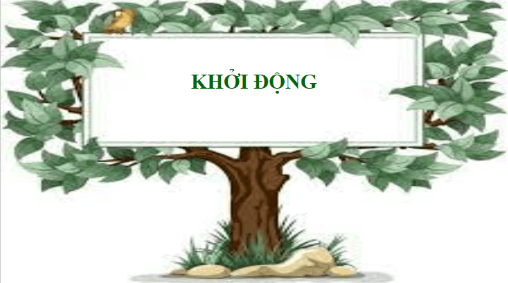 Giáo án điện tử KHTN 8 Kết nối tri thức Bài 33: Máu và hệ tuần hoàn của cơ thể người | PPT Khoa học tự nhiên 8