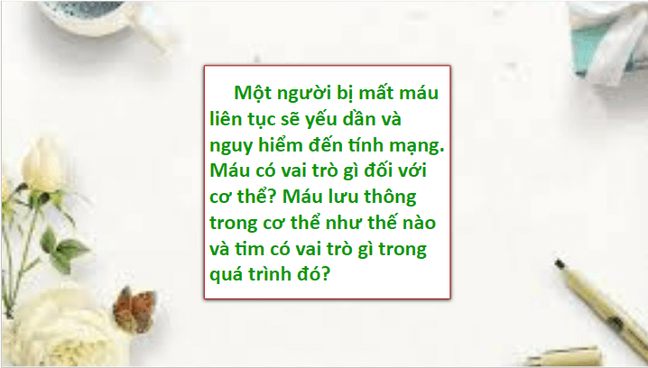 Giáo án điện tử KHTN 8 Kết nối tri thức Bài 33: Máu và hệ tuần hoàn của cơ thể người | PPT Khoa học tự nhiên 8