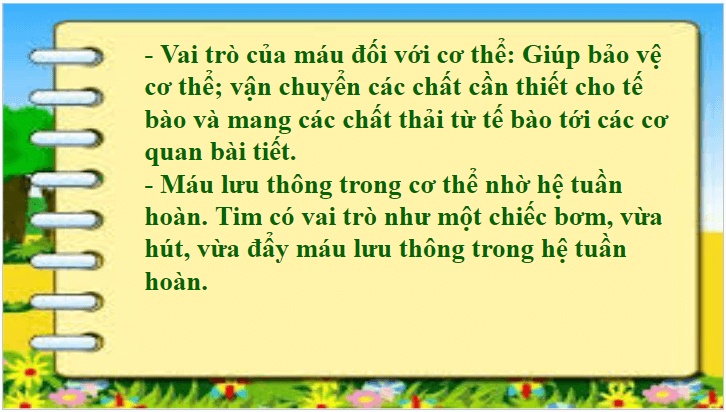 Giáo án điện tử KHTN 8 Kết nối tri thức Bài 33: Máu và hệ tuần hoàn của cơ thể người | PPT Khoa học tự nhiên 8