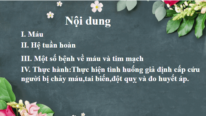 Giáo án điện tử KHTN 8 Kết nối tri thức Bài 33: Máu và hệ tuần hoàn của cơ thể người | PPT Khoa học tự nhiên 8