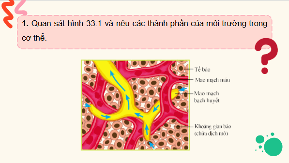 Giáo án điện tử KHTN 8 Cánh diều Bài 33: Môi trường trong cơ thể và hệ bài tiết ở người | PPT Khoa học tự nhiên 8