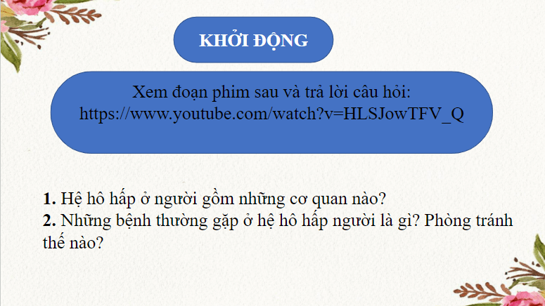 Giáo án điện tử KHTN 8 Kết nối tri thức Bài 34: Hệ hô hấp ở người | PPT Khoa học tự nhiên 8