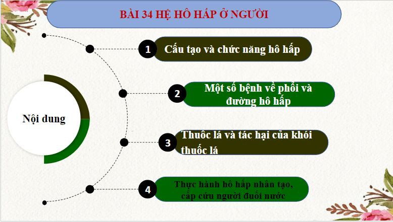 Giáo án điện tử KHTN 8 Kết nối tri thức Bài 34: Hệ hô hấp ở người | PPT Khoa học tự nhiên 8