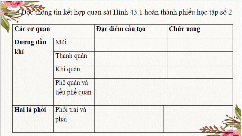 Giáo án điện tử KHTN 8 Kết nối tri thức Bài 34: Hệ hô hấp ở người | PPT Khoa học tự nhiên 8