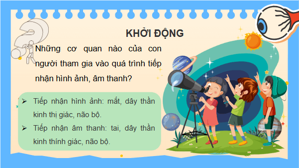 Giáo án điện tử KHTN 8 Cánh diều Bài 34: Hệ thần kinh và các giác quan ở người | PPT Khoa học tự nhiên 8