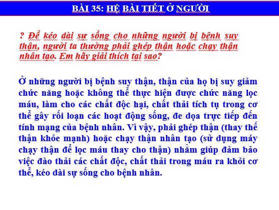 Giáo án điện tử KHTN 8 Kết nối tri thức Bài 35: Hệ bài tiết ở người | PPT Khoa học tự nhiên 8