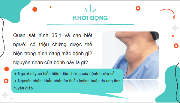 Giáo án điện tử KHTN 8 Cánh diều Bài 35: Hệ nội tiết ở người | PPT Khoa học tự nhiên 8