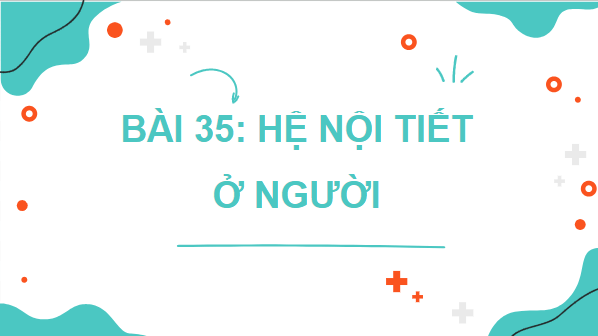 Giáo án điện tử KHTN 8 Cánh diều Bài 35: Hệ nội tiết ở người | PPT Khoa học tự nhiên 8
