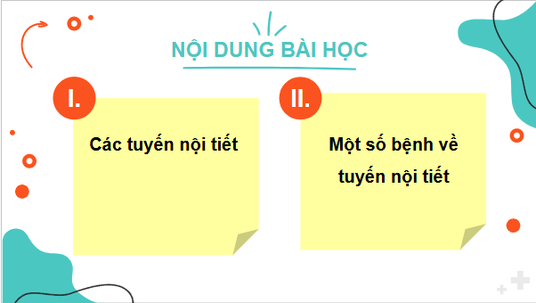 Giáo án điện tử KHTN 8 Cánh diều Bài 35: Hệ nội tiết ở người | PPT Khoa học tự nhiên 8
