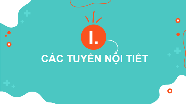Giáo án điện tử KHTN 8 Cánh diều Bài 35: Hệ nội tiết ở người | PPT Khoa học tự nhiên 8