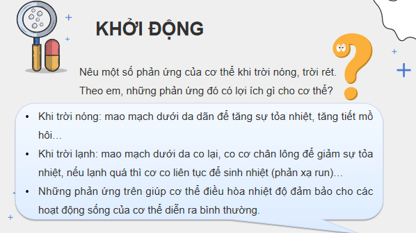 Giáo án điện tử KHTN 8 Cánh diều Bài 36: Da và điều hòa thân nhiệt ở người | PPT Khoa học tự nhiên 8