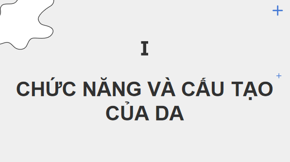 Giáo án điện tử KHTN 8 Cánh diều Bài 36: Da và điều hòa thân nhiệt ở người | PPT Khoa học tự nhiên 8