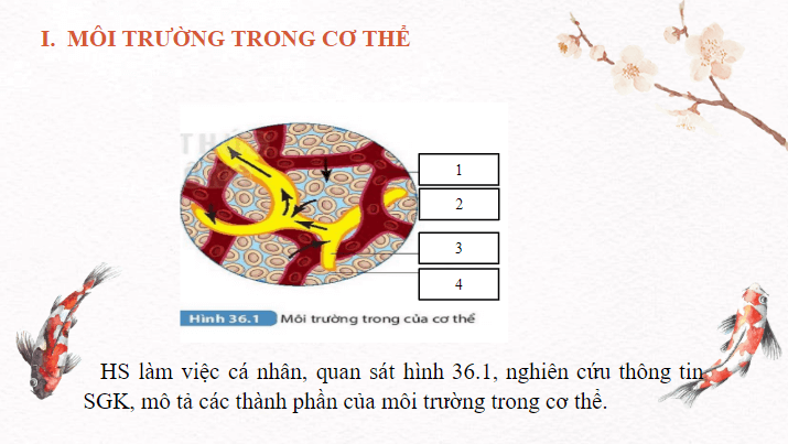 Giáo án điện tử KHTN 8 Kết nối tri thức Bài 36: Điều hòa môi trường trong của cơ thể người | PPT Khoa học tự nhiên 8