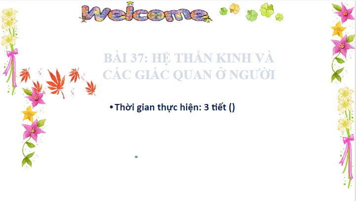 Giáo án điện tử KHTN 8 Kết nối tri thức Bài 37: Hệ thần kinh và các giác quan ở người | PPT Khoa học tự nhiên 8