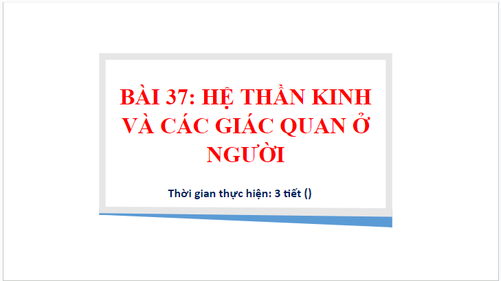 Giáo án điện tử KHTN 8 Kết nối tri thức Bài 37: Hệ thần kinh và các giác quan ở người | PPT Khoa học tự nhiên 8