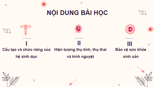 Giáo án điện tử KHTN 8 Cánh diều Bài 37: Sinh sản ở người | PPT Khoa học tự nhiên 8